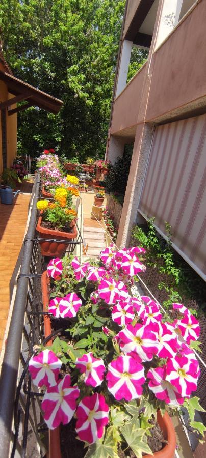 Elisa E Carla House Beautiful Apartments On The Cassia Rom Exterior foto